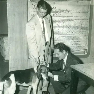 A man with American English coonhound