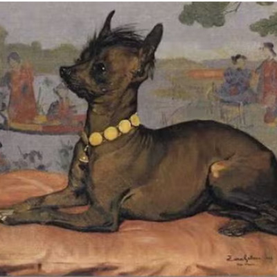 Painting of a Chinese Crested in 1882