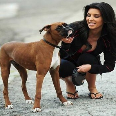 Kim Kardashian with her Boxer