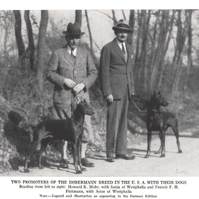 Doberman History