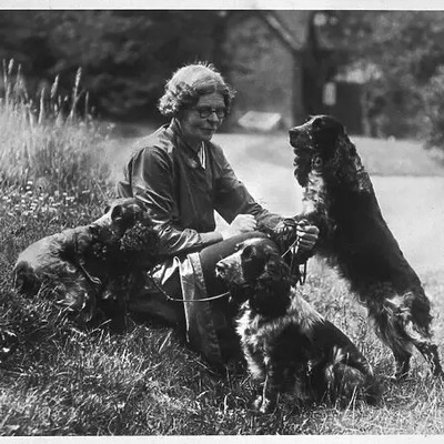 Cocker Spaniel History