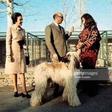 Last King of Afghanistan with His Afghan Hound