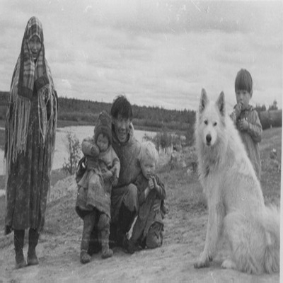 Samoyed History