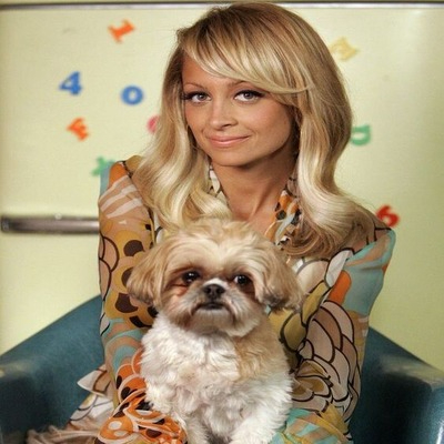 Nicole Richie with Shih Tzu