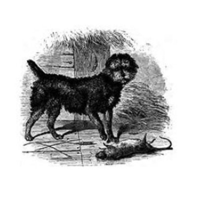 A Scotch Terrier, published in 1859