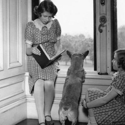 Queen Elizabeth with her dog 1939