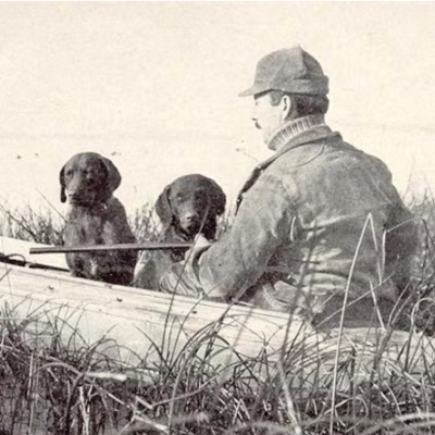 Chesapeake Bay Retriever History