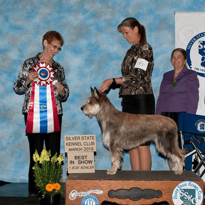 Silver Kennel Club