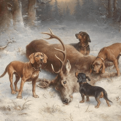 Bavarian Mountain Scent Hound History