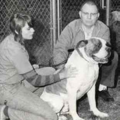 Johnson's American Bulldog