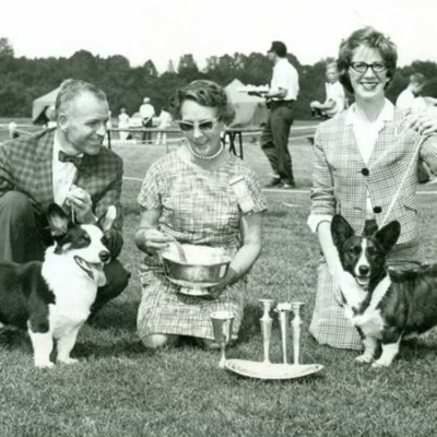 Cardigan Welsh Corgi Club