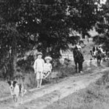 Australian Cattle Dog photographed in 1902