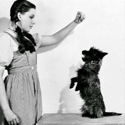 Toto with Judy Garland