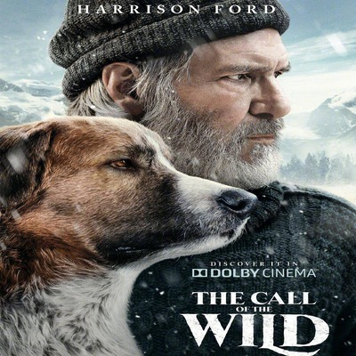 The Call Of Wild