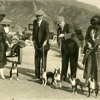 Boston Terrier fanciers in Pasadena 1920