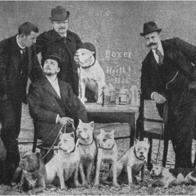 Boxers at the Boxer Club of Munich’s, Germany,1896