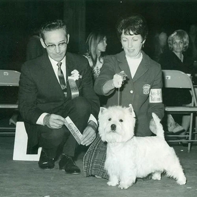 West Highland White Terrier History